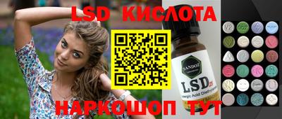 стаф Славгород