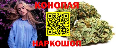 крисы Славянск-на-Кубани