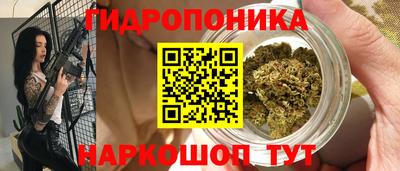 крисы Славянск-на-Кубани