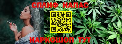 крисы Славянск-на-Кубани