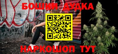 стаф Славгород