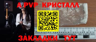 стаф Славгород