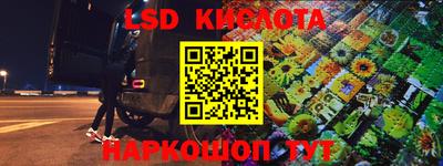стаф Славгород