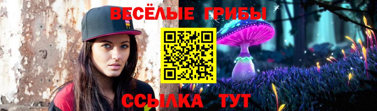Галлюциногенные грибы Magic Shrooms  Вход с VPN  Псилоцибиновые грибы MAGIC MUSHROOMS  Вольск 